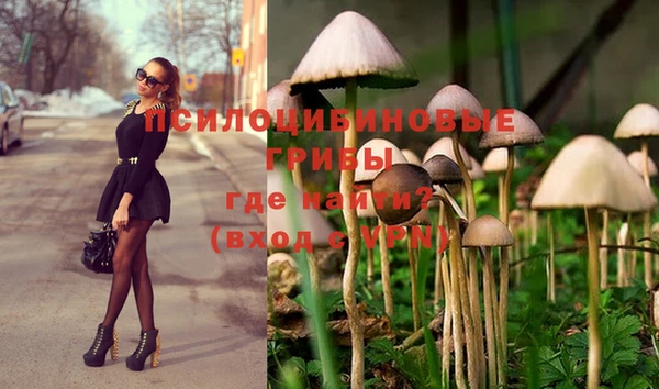 apvp Бугульма